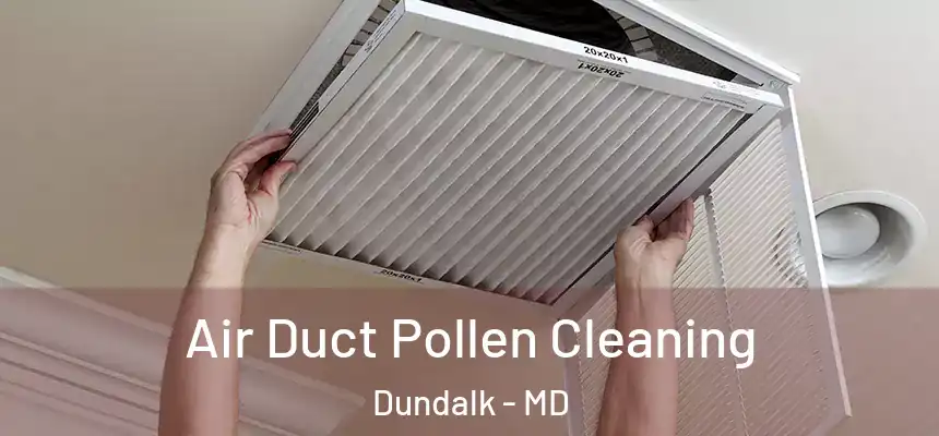 Air Duct Pollen Cleaning Dundalk - MD