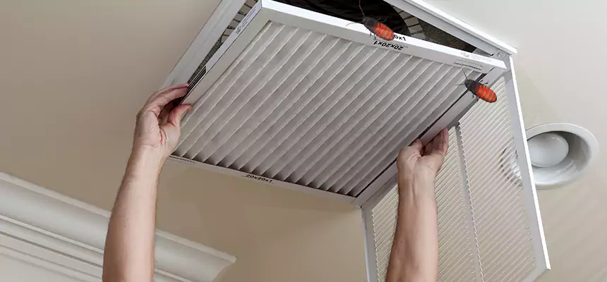 Preventive Cockroach-Proofing for Ducts in Dundalk