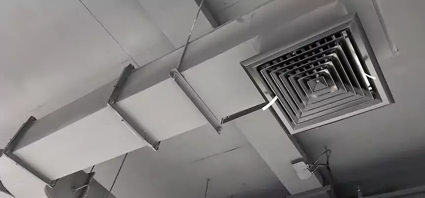 Restorative Allergy Relief Vent Cleaning – Coil, Blower & Housing Detail in Dundalk