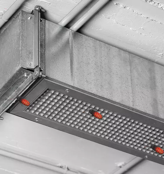About Air Duct Cockroach Removal in Dundalk, MD