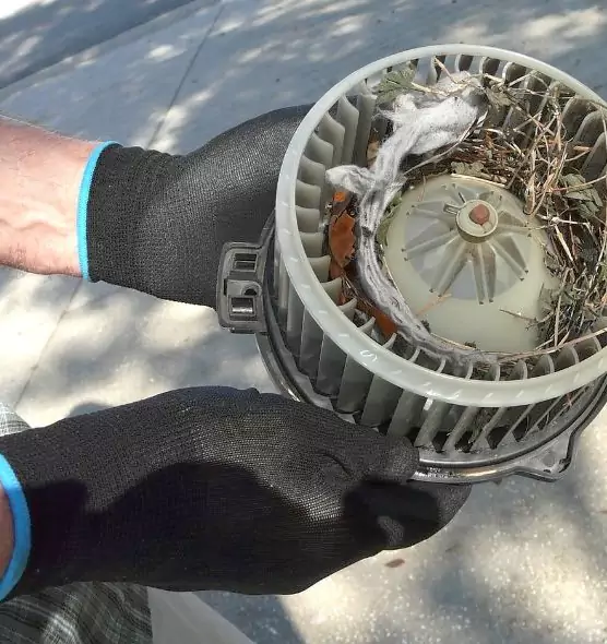 About Air Duct Rat Removal in Dundalk, MD